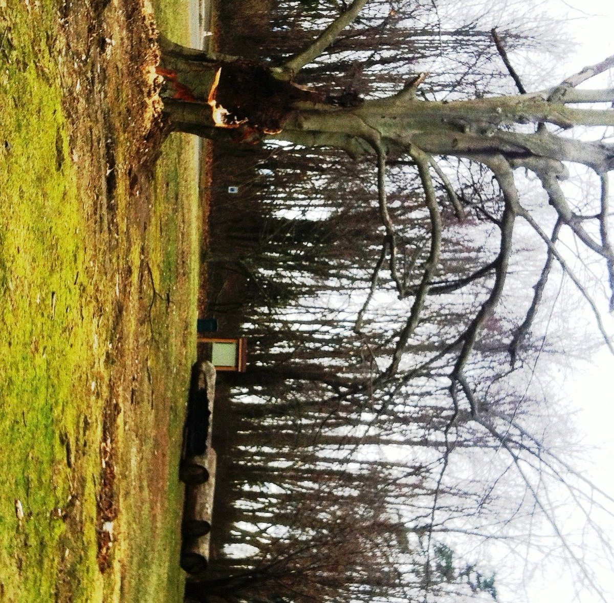 Garvies Point Preserve (GarviesPreserve) Twitter