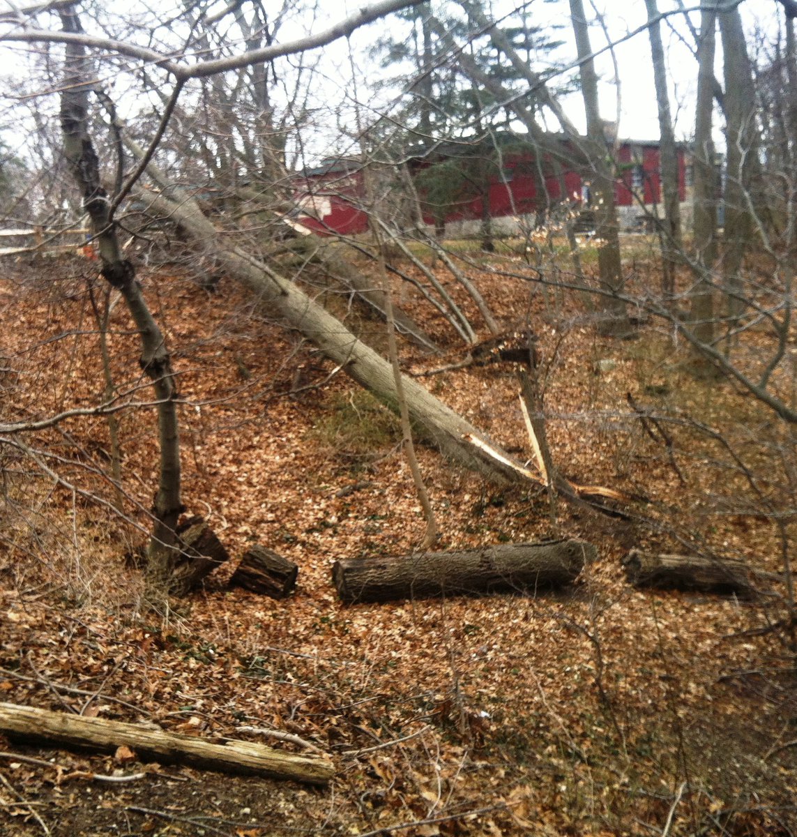 Garvies Point Preserve (GarviesPreserve) Twitter