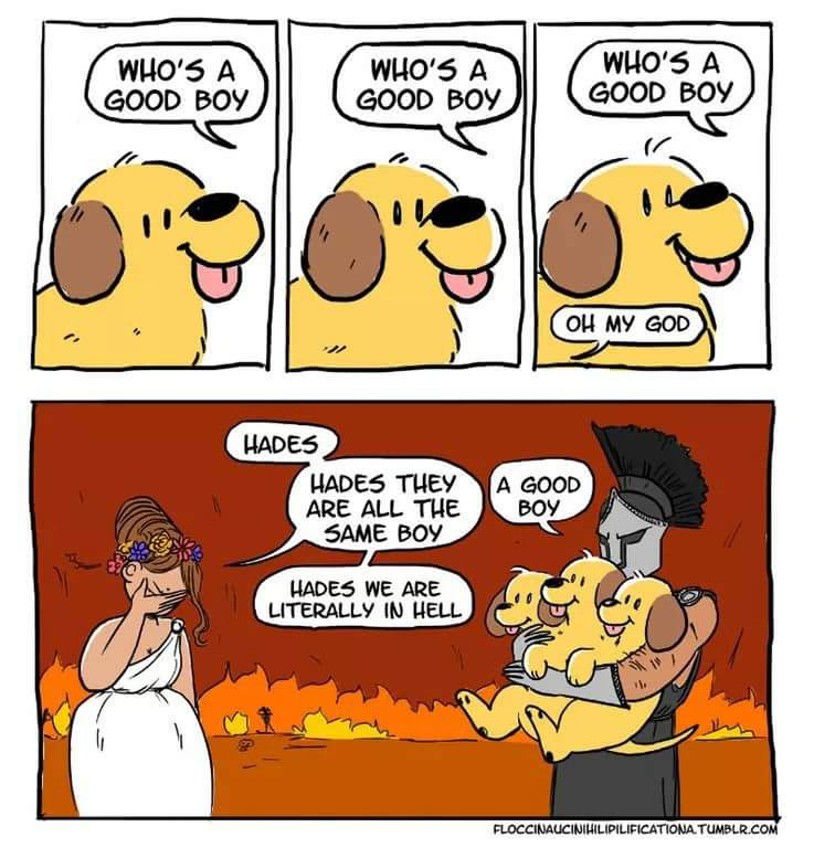GiveMeInternet's tweet photo. Made me giggle a bit https://t.co/pg6T8bHA29