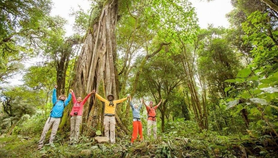 #Salta Región Norte Verde: Paisaje selvático ow.ly/r21T30iJOFx