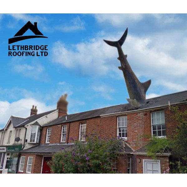 Lethbridgebuild's tweet photo. Not our work :)

We found this amusing so thought we would share - originally put in place to commemorate the use of atomic weaponry on Nakasaki

#shark #sharkattack #roof #roofdamage #unusualroof #roofing #roofrepair #rooftiles #oxford #headington #essexroofer #roofer https://t.co/lSuazgX33V