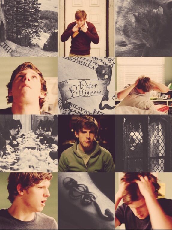 °հαɾɾψ Թσttεɾ/ʍαɾαմδεɾ'ς εɾα ɾσʆεԹʆαψ

• 7 ψεαɾς εXԹεɾίεηɕε.  ησt ηεϖ tσ tϖίttεɾ σɾ ѵεɾςε,  ηεϖ tσ ɕհαɾαɕtεɾ. 

°Թεtεɾ Թεttίɡɾεϖ°

•ɓί,  ςίηɡʆε
ɓմt հας α ɓίɡ ɕɾմςհ ση ςεɾίσմς.

°ςʍαʆʆ ɕհίʆδ

•ίς α ɓίt σƒ α յεɾƘ αt tίʍες

°ɾεtϖεεtς αηδ ƒαѵσɾίtες ϖσմʆδ ɓε ɡɾεαtʆψ αԹԹɾεɕίαtεδ