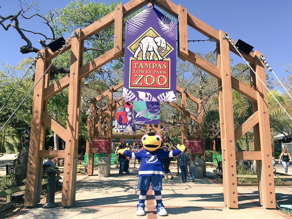 ThunderBugTBL's tweet photo. It’s a perfect day to experience @LowryParkZoo!! I’ll be here until 2:30!!! >:) #BeautifulDay #SafariBug #SundayFunday https://t.co/sSFVHLJKo8
