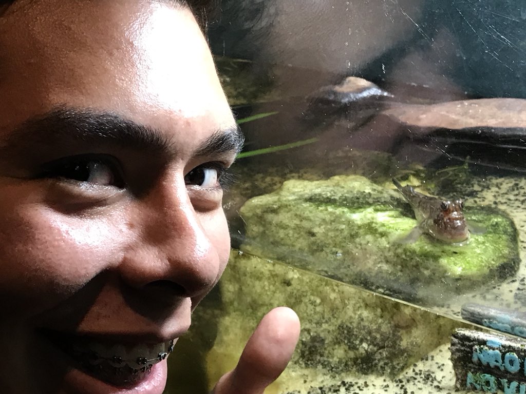 Como cuando no sabes cuál es el Sapito🌚 <a href="/AnthonyD_Angelo/">Anthony D’Angelo</a>