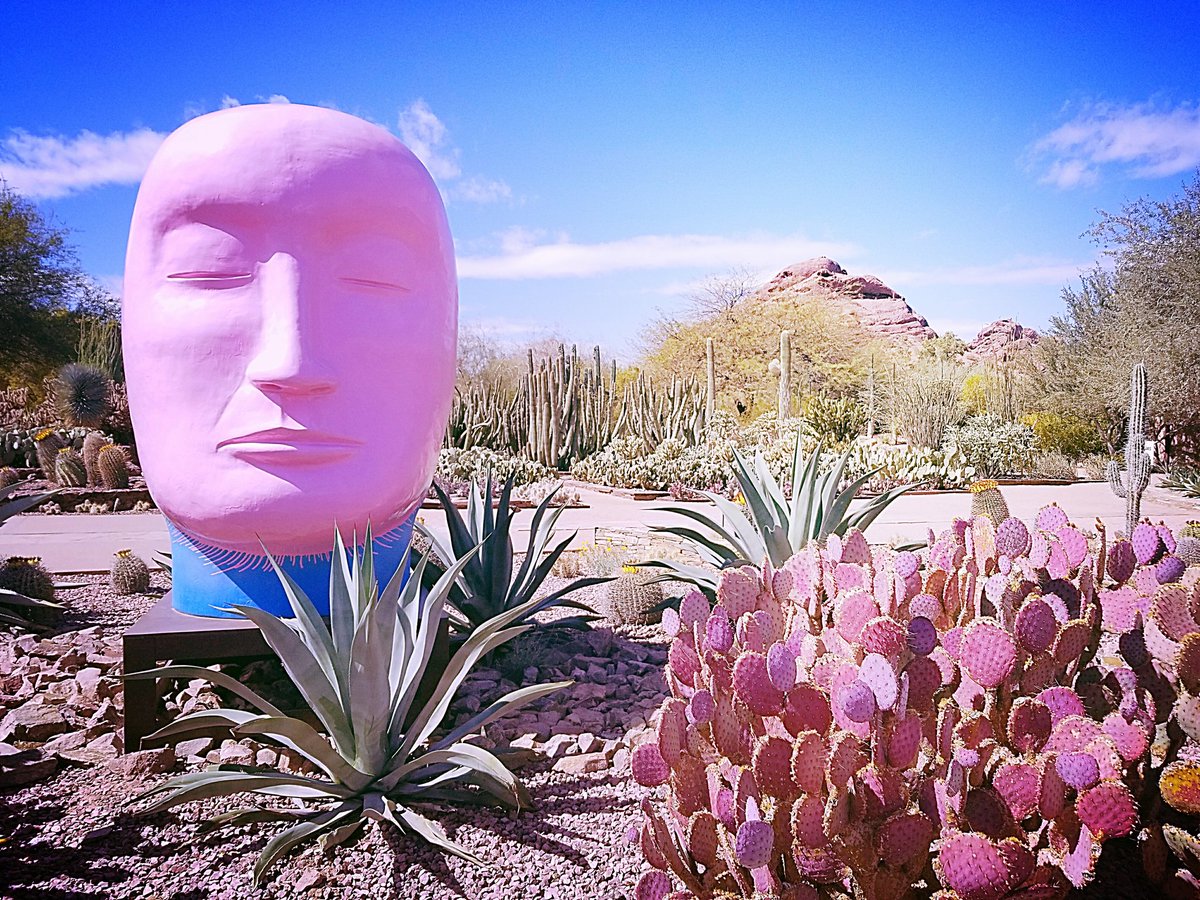 piescarcega's tweet image. Congrats to the 2018 @devourphoenix participants, organizers &amp;amp; volunteers for putting together another painstakingly organized Culinary Classic weekend. New venue this year, and the desert views were heady, man. #devourphoenix