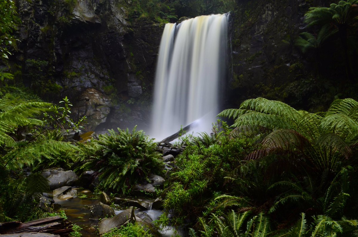 _annabelclaire_'s tweet photo. #HopetounFalls in the #GreatOtways are a magical sight! Learn how to find them, including directions, tips &amp; tricks on my blog! https://t.co/sZSr4lCrIK @visitvictoria @visit12apostles @VstGreatOceanRd @greatoceanroad https://t.co/gxTKnfZQjZ