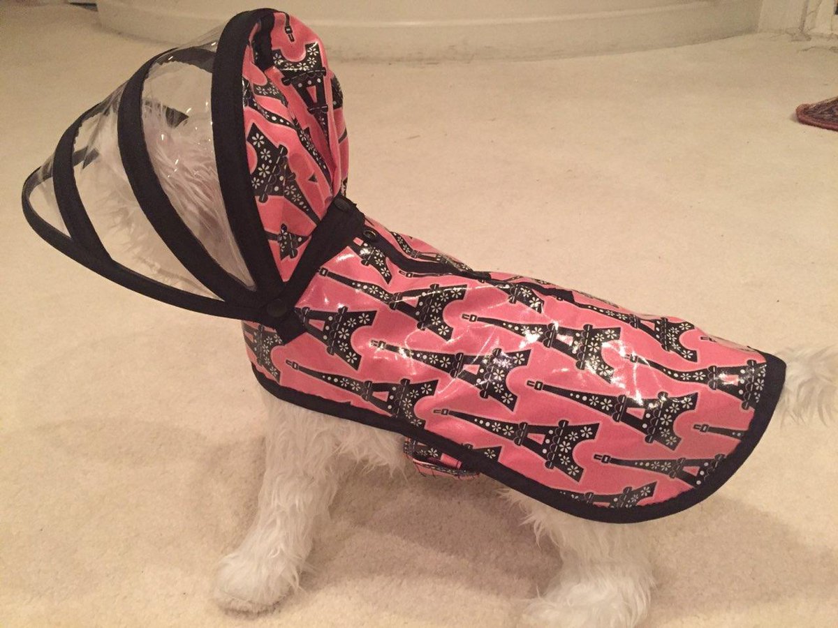 pushpushi's tweet image. Spring is almost here! Wouldn't your dog looks fabulous in our spring coat! And, 20 % off your first purchase:   bit.ly/2EmQakG