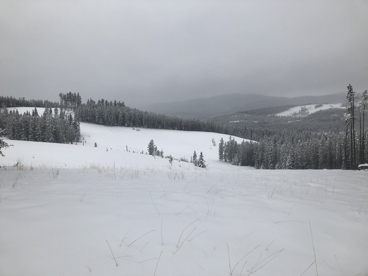 photohunter2's tweet photo. Hike 16 of 52 Ranger Summit with @macwiebes out exploring the countryside #goodlife #hikingadventures #hiking_lifestyle #kanaskiscountry #snowshoemountain #snowshoeing #enjoylife #ourlifetogether
#explorealbera https://t.co/rRyQLQbAAi