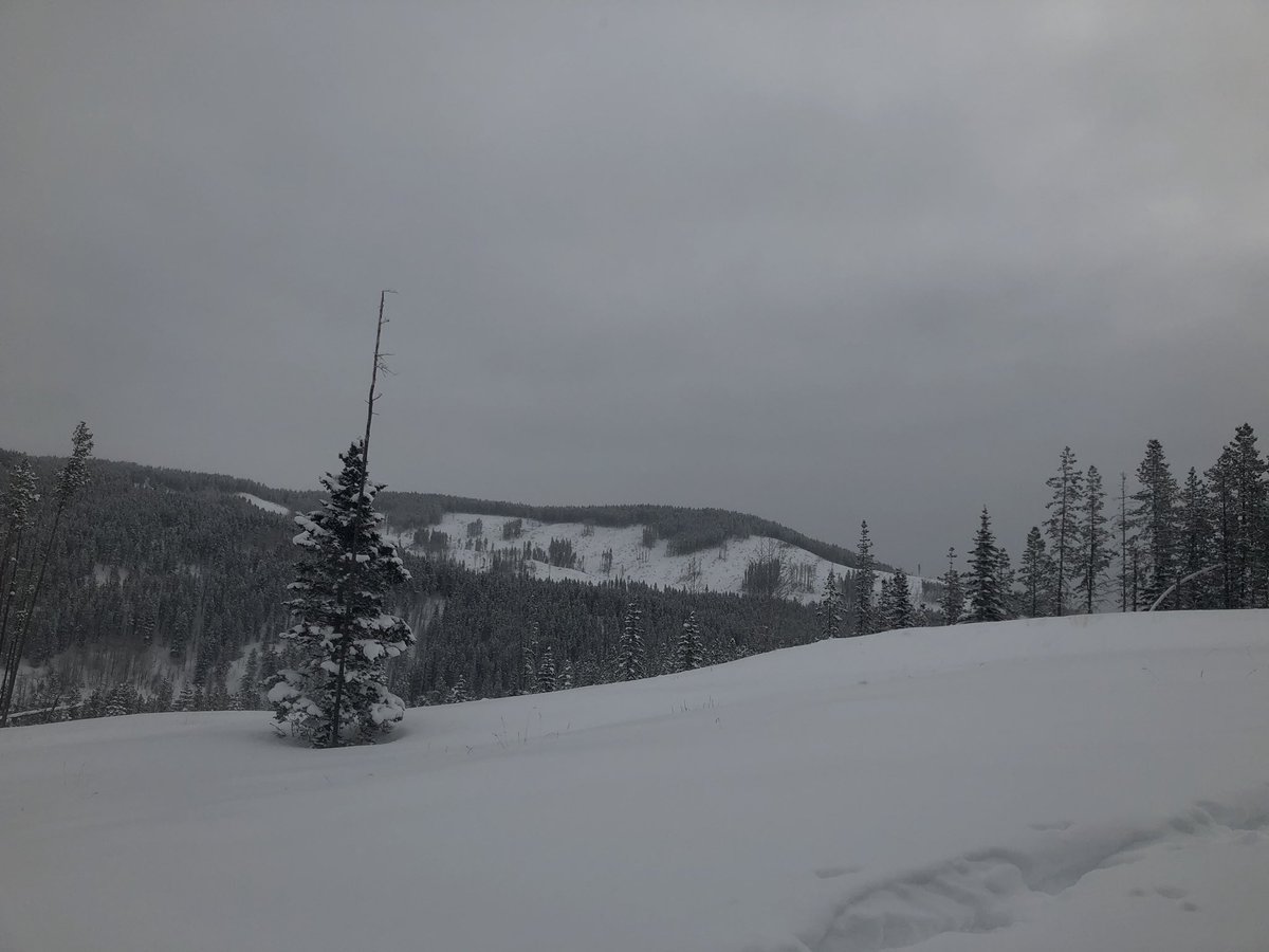 photohunter2's tweet photo. Hike 16 of 52 Ranger Summit with @macwiebes out exploring the countryside #goodlife #hikingadventures #hiking_lifestyle #kanaskiscountry #snowshoemountain #snowshoeing #enjoylife #ourlifetogether
#explorealbera https://t.co/rRyQLQbAAi