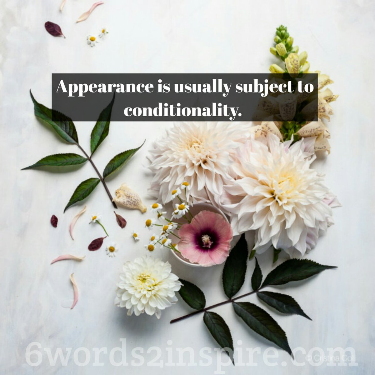 VenRahula's tweet photo. Upon conditions the #object of perception is apprehended.

#DevelopWisdom
#ThroughHeart
#OpeningMind https://t.co/bnE0P07Oxw
