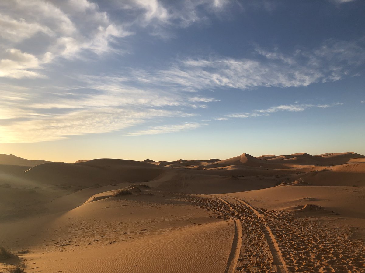 cjota__'s tweet photo. Marzogua, Sáhara desert https://t.co/wPOtJ3fRR2