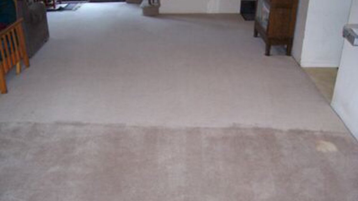 CarpetCannon's tweet photo. Cleaned and groomed part way, dry time 45 minutes https://t.co/bDxf4XpJIR