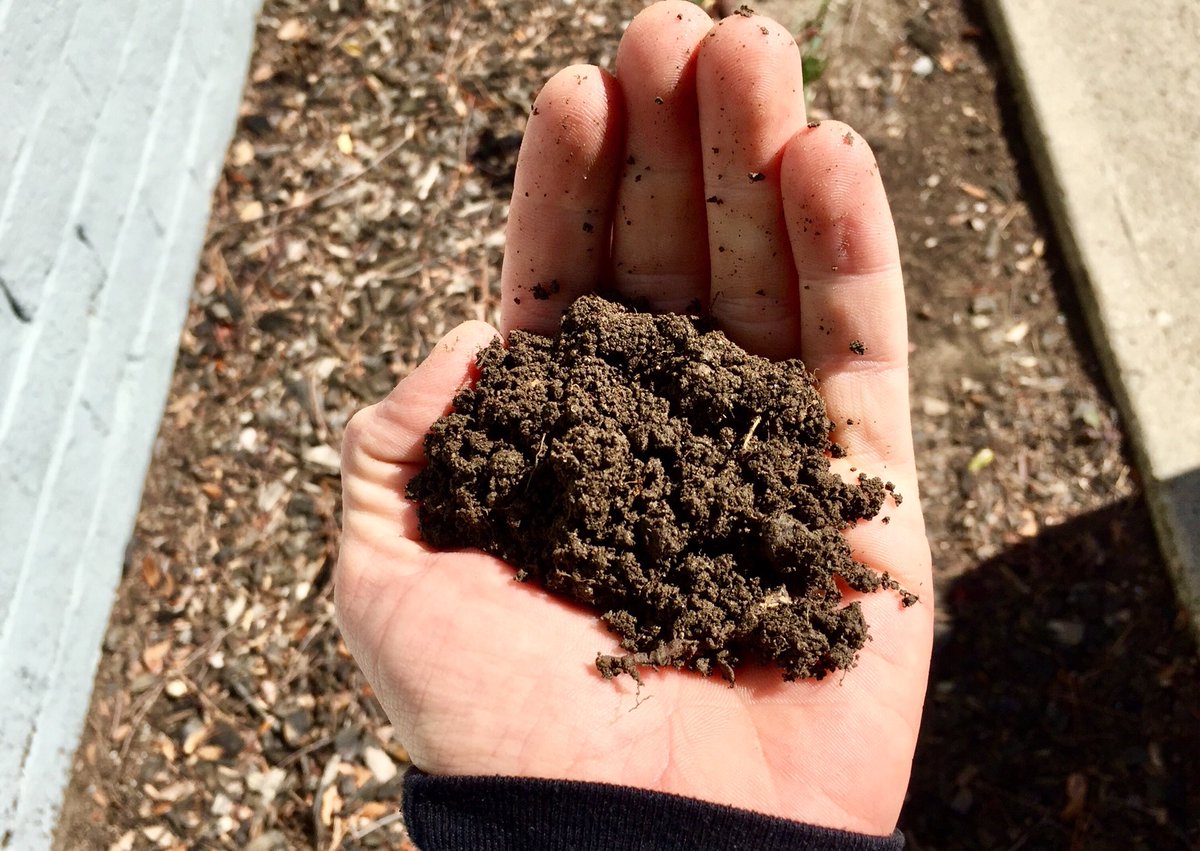 My brother needs a bag of California dirt for his Texas Geology class. <a href="/AskTSA/">AskTSA</a> that cool?