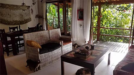 Newly Listed Real Estate In Morro de Sao Paulo - 
brazilbahiaproperty.com/newly-listed-r…