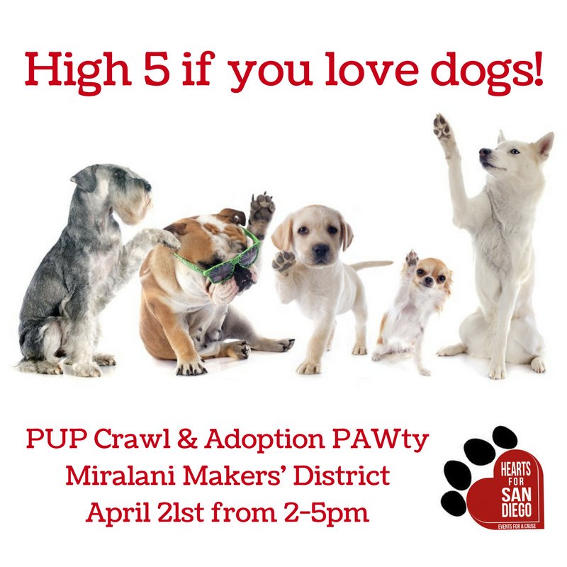 HeartsForSD's tweet photo. Calling all dog lovers 🐕♥ Mark your calendars for our PUP Crawl &amp; Adoption PAWty on April 21st  @MiralaniMakers! #cheers #miralanimakersdistrict #sd #puppylove #dogs #AdoptDontShop #adoption https://t.co/aCYQWm6UJ0