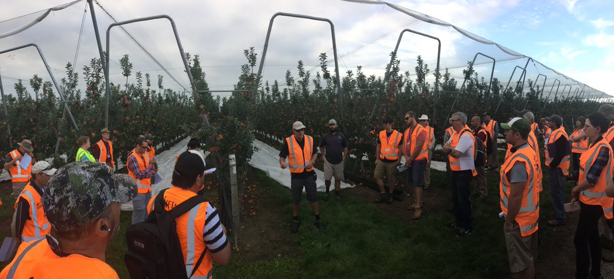 timdwelsh's tweet photo. Richard and Tristram Hoddy introducing Vailima orchard showing V trellis Ambrosia and Envy. Up to 100k per hectare in structure. Project 120 tph up to 150 tph on Envy. #iftaNZ https://t.co/pPIwrj9Llt