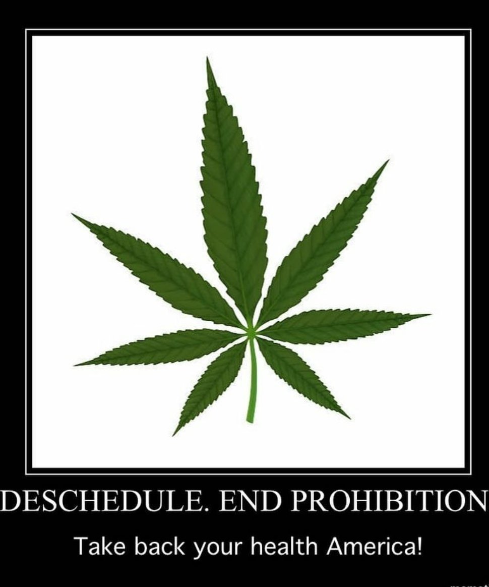 DrMesmer's tweet photo. #Deschedule #DescheduleCannabis #EndProhibition #DescheduleToday @POTUS Take Back Your Health America! #MakeAmericaHempAgain #KnowYourHistory #KnowYourHemp #Op420 #USCannabisCoalition #StoneColdLegal @HempHistoryWeek @StefanMolyneux @C3Cannabiz @AmericanGanja @infowars #freedom https://t.co/NM6lL8qwYK