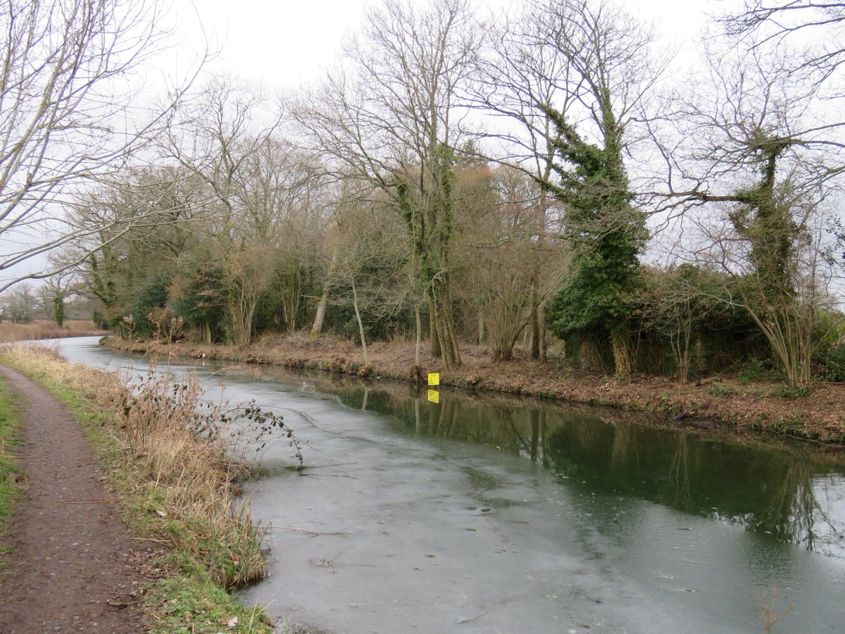 PillboxSG's tweet photo. Sunday Snow Gone, Some Ice Remains, FootPaths Close To The #BasingstokeCanal & #WW2Pillboxes Resemble The Russian Front After The Thaw #Winchfield #Hampshire https://t.co/xjVuveFlgM