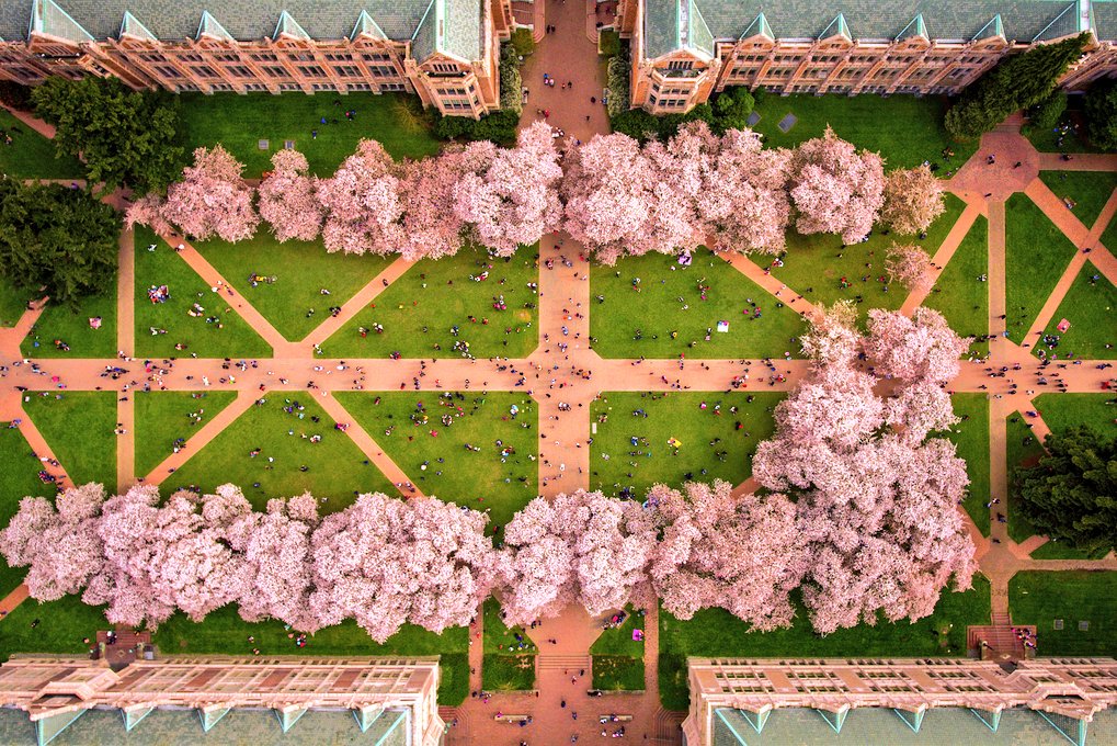 Best Colleges tweet media