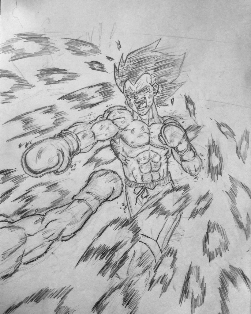 22TOKY0's tweet photo. #VegetaBalboa @MasakoX https://t.co/dUs4yafAzm