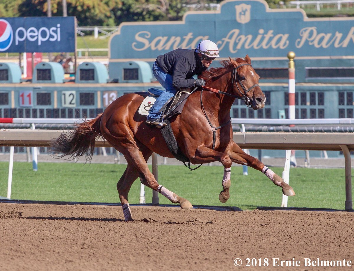 Ernie_Belmonte's tweet photo. Giant Expectations working this morning under jockey @Corey_Nakatani aboard. @MATT_NAK https://t.co/OSPOnyUjYm