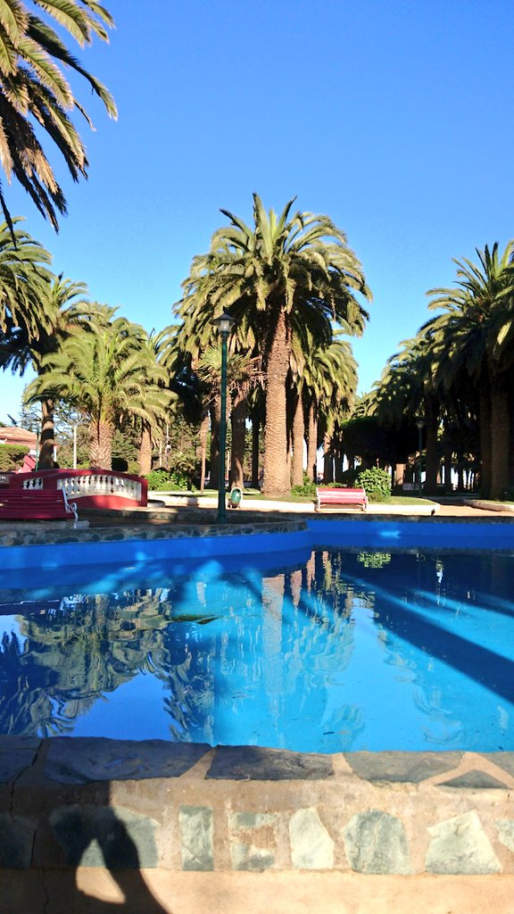 Calderon0103's tweet photo. @julian_eladio @T13 Esto es Pichilemu. 😉 https://t.co/Vm43pg0ZpP