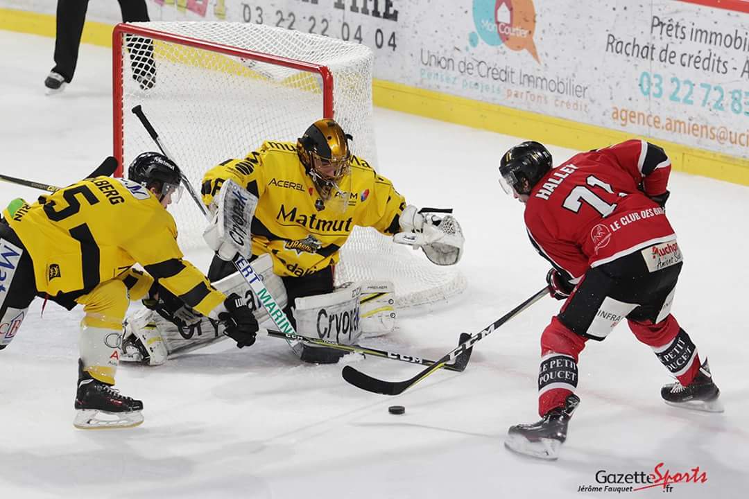 Gothiques_AHE's tweet photo. // PLAYOFFS 1/2 FINALE - CE SERA ROUEN //
À ROUEN ➡️ Matchs 1&amp;2 vend 9 &amp; sam 10 mars
À AMIENS ➡️ Matchs 3&amp;4 mardi 13 &amp; mercredi 14 mars
Billetterie des demain 9h30 au Coliseum.
Info tarifs : https://t.co/GLQVwGg3Qu https://t.co/9wyF2SIh2z
