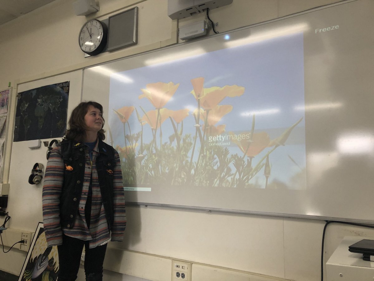 royalhsbotany's tweet photo. Plant of the week: The golden poppy💛🧡This pretty sunset orange flower grows in California in the spring time. It is also California’s state flower😮👍🏻Thank you Jordan for sharing this plant https://t.co/ygIxGmmNZ1