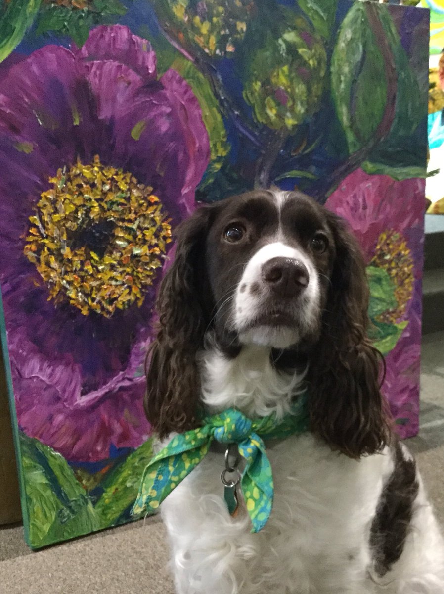 WillowsGallery's tweet photo. Willow is so looking forward to all the spring colors. This lovely oil by Betsy Keppeler says it well.
#willowsgallery &amp; #fairtrade #artgallery #5WomenArtists #flowers #spring #TheFirstSignOfSpring #SundayThoughts #oilpainting #Purple #experiencedifferent #oconomowoc #collectart https://t.co/q9A9zsBD6V