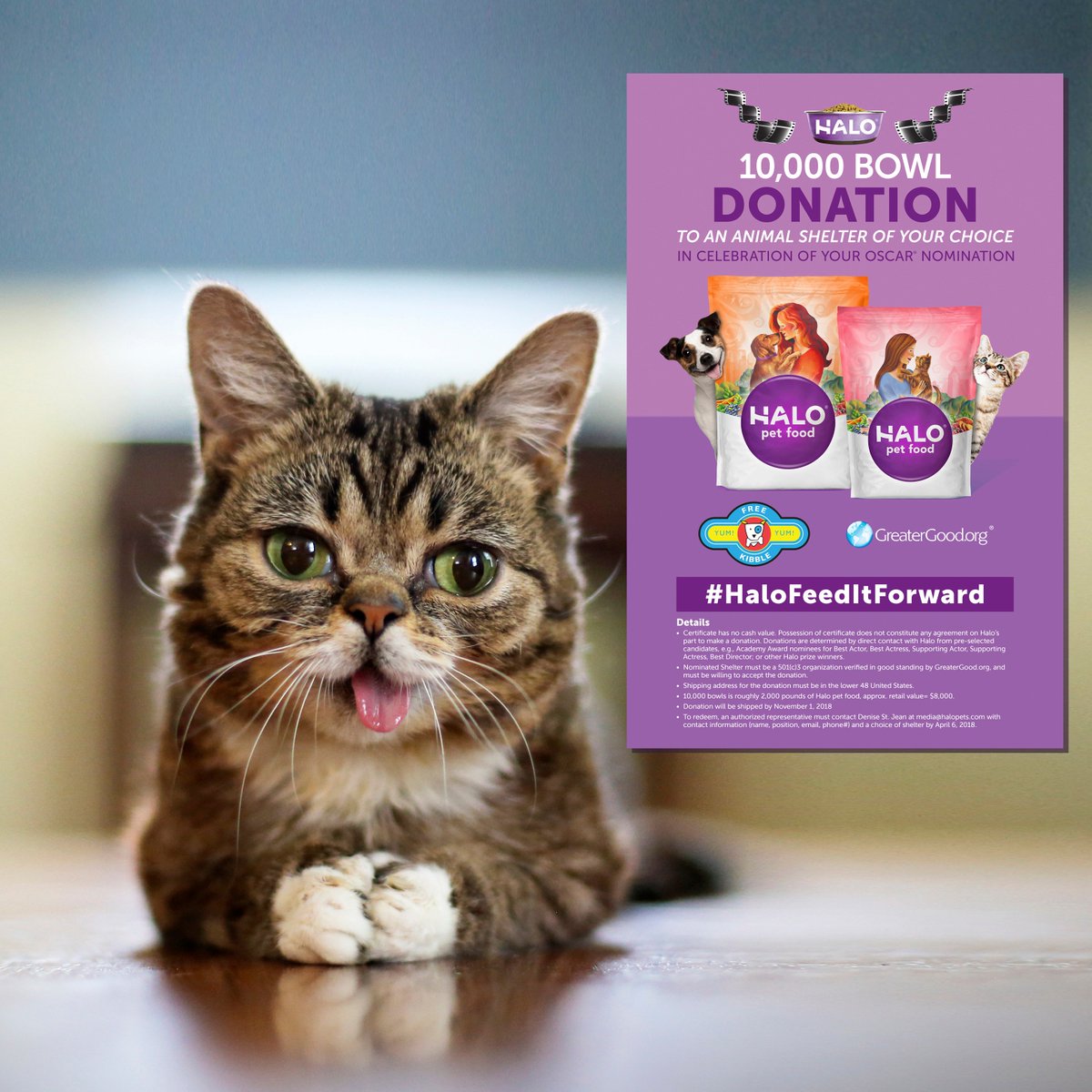 IAMLILBUB's tweet image. Our pals at @halopets gave nominees at the #Oscars the opportunity to make a 10,000 bowl Halo food donation to a shelter of their choice, courtesy of Freekibble.com and GreaterGood.org. DO IT! #noreasonnotto #feeditforward #goodjobhalo