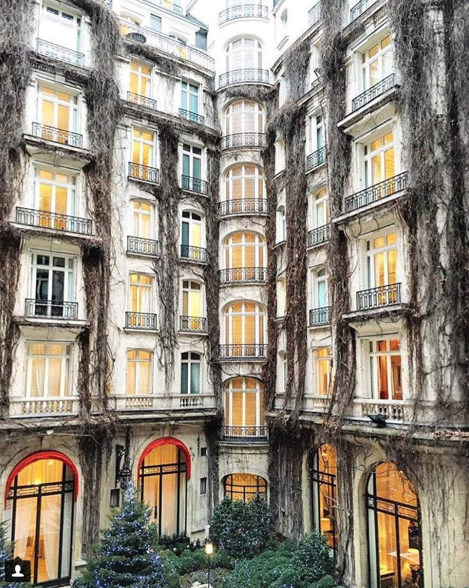 MyBeautifulPari's tweet photo. This time next week, I'll be right here! 🤗🤗🤗 #letsgotoparis @Plaza_Athenee @DC_LuxuryHotels #dcmoments https://t.co/fDTT3n9pbc