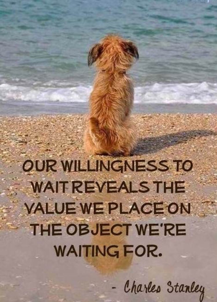 WilliamsIntPC's tweet image. PATIENCE... Our Willingness to Wait Reveals the VALUE We Place on the Object We’re Waiting For- Charles Stanley #wonderfulworldofwis #4houses1family #coreessentialvalues