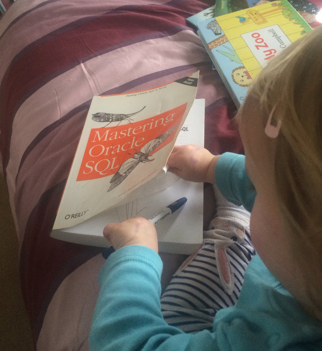 beardy_dad's tweet photo. #mango learning a new language already https://t.co/Ob4hyjdECs