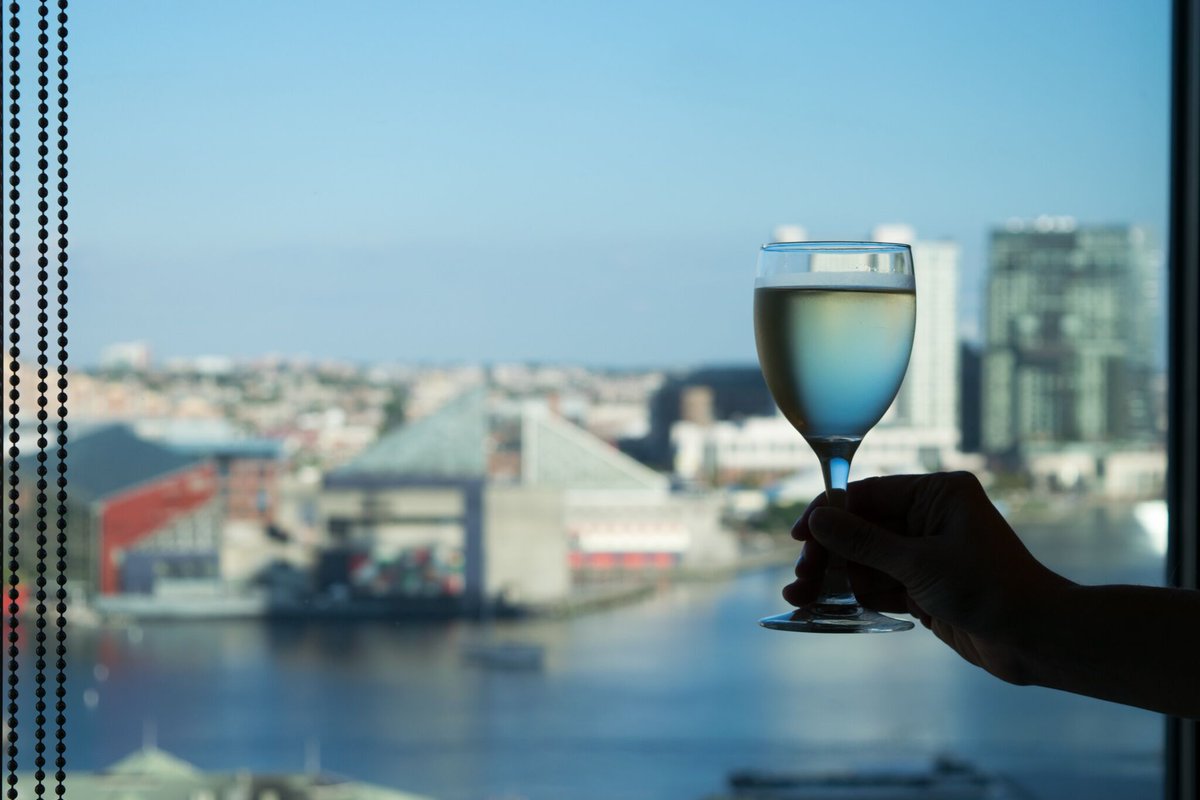 SheratonBmore's tweet photo. Raise a toast to #SundayFunday over the Inner Harbor. https://t.co/My12GeDIoH