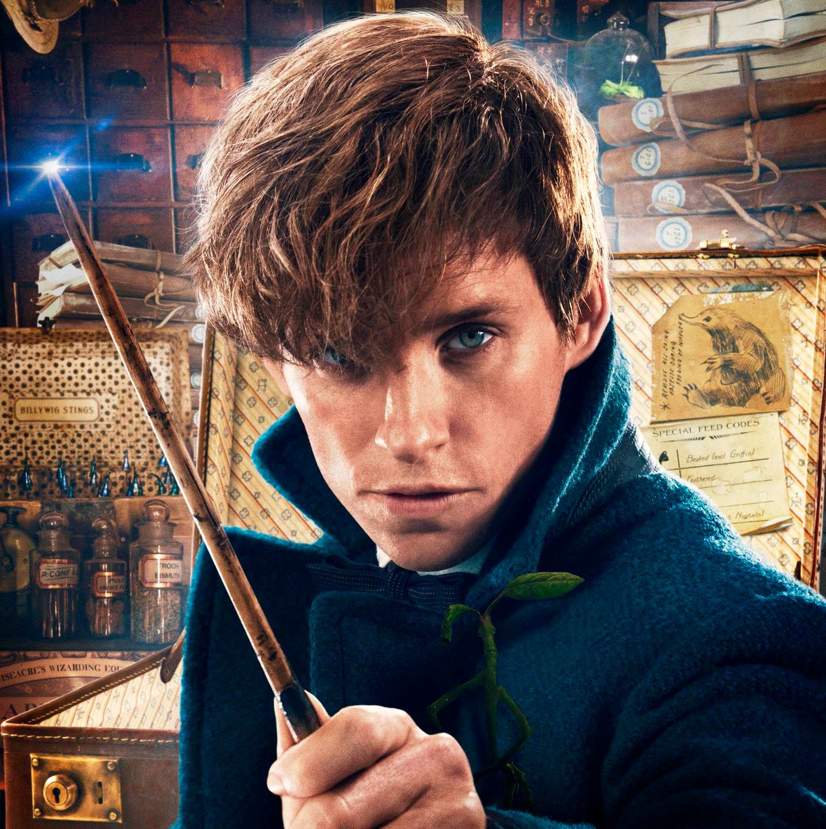 EiProfeta's tweet photo. ¿Cuál de estos dos personajes te gusta más?

RT - Harry Potter
Me Gusta - Newt Scamander

¡Que comience la batalla! ⚡️ https://t.co/dylXdz8SfG