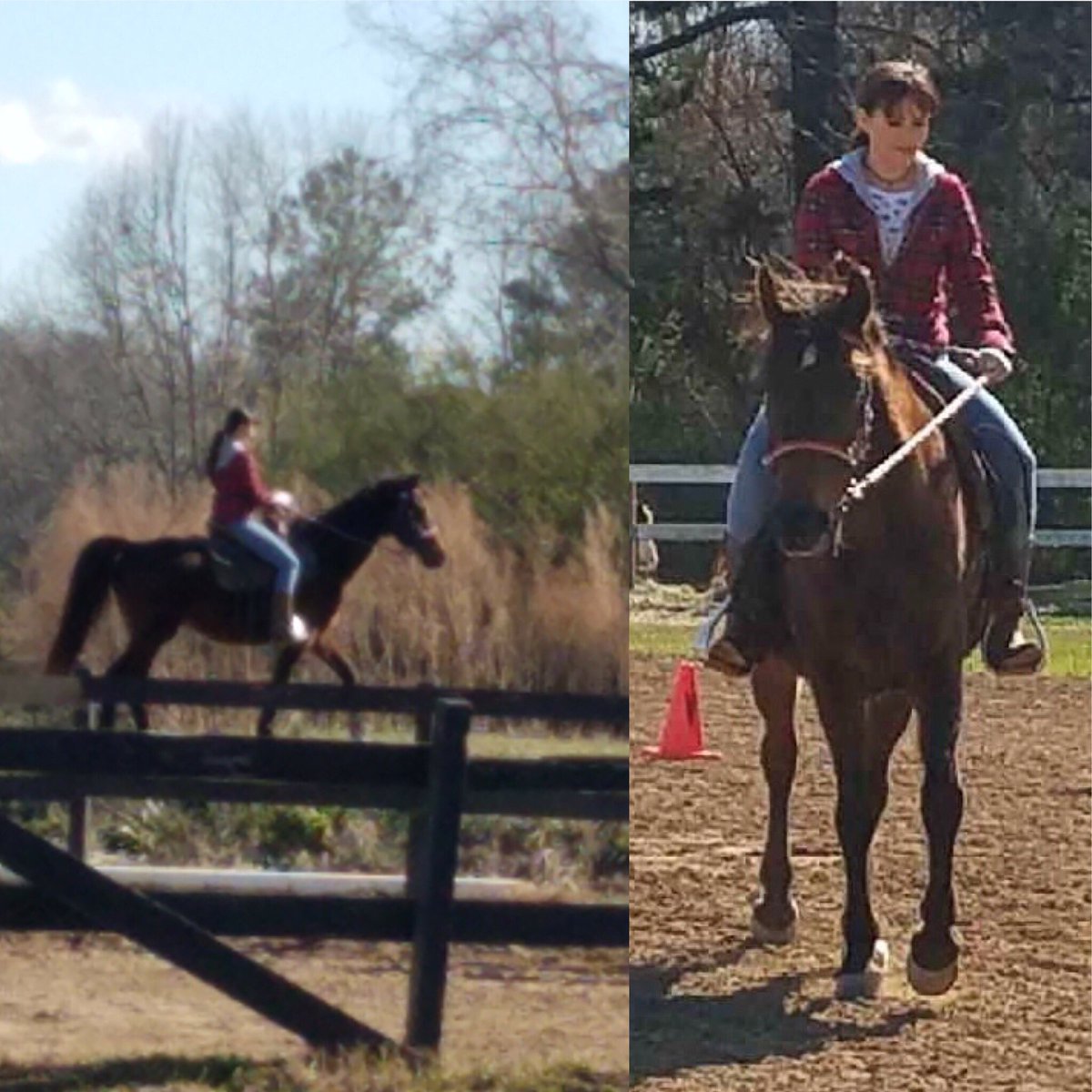 Meet Reba.. the horse!  Yep that’s her name 😊 Us Country girls got along pretty well 🐎