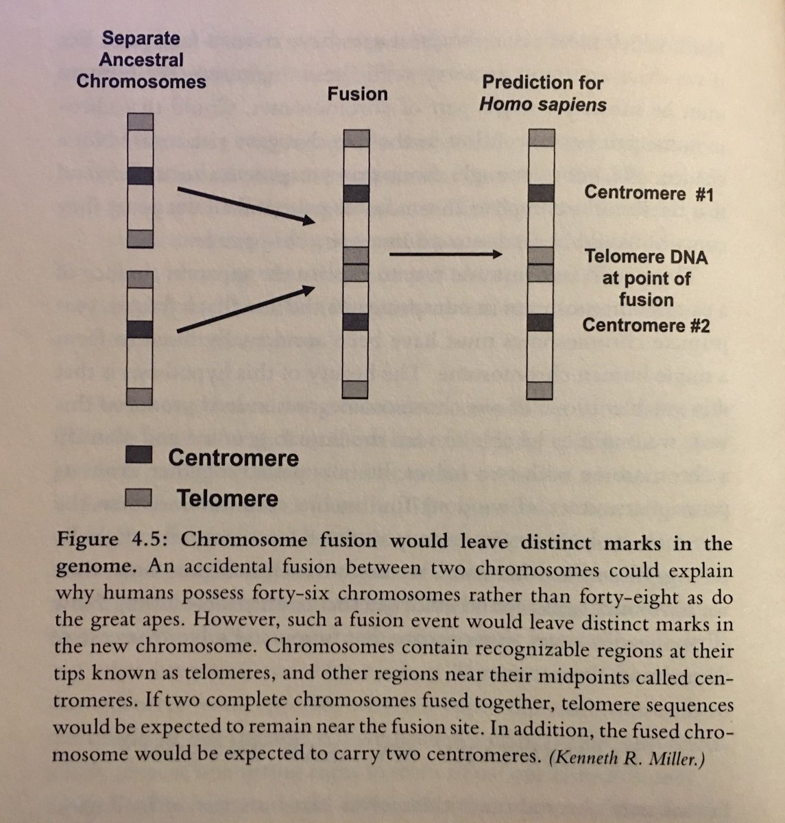 lean from the trenches managing large