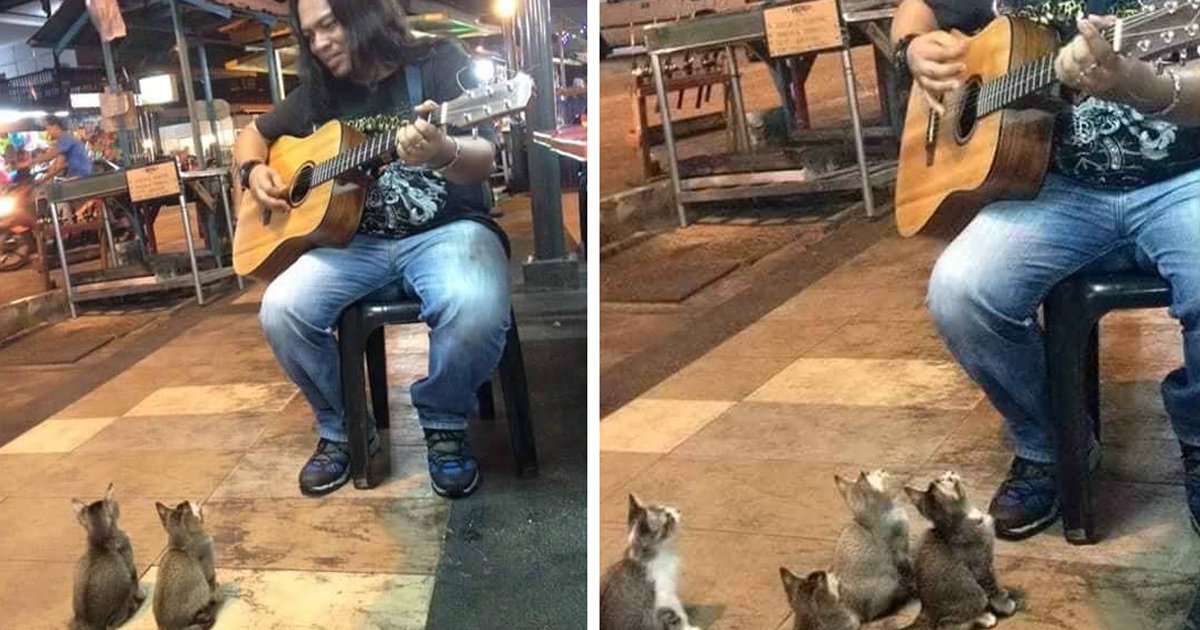 Tazeronline's tweet photo. Street Singer Ignored By Everyone— Then 4 Music-Loving Kittens Show Their Support https://t.co/KbJ07pesJ7
That's one way to get some Pussy ..cats...... https://t.co/9tDpTumAdt