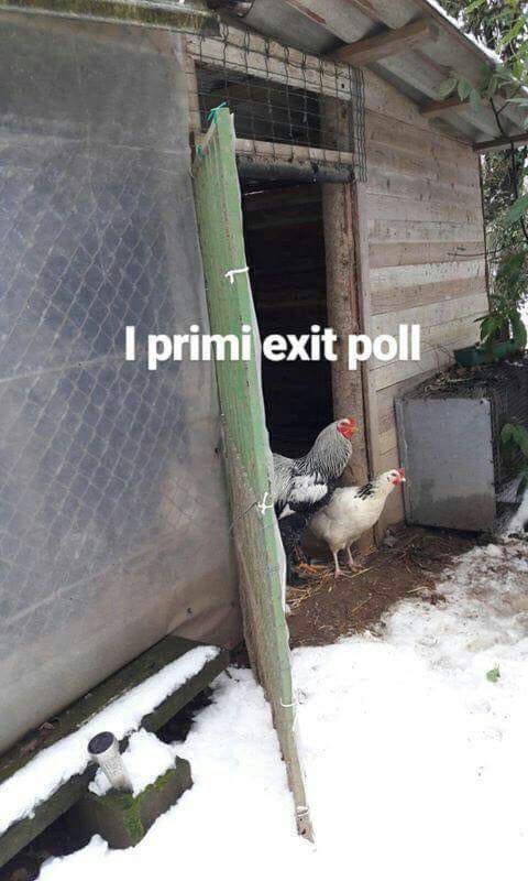rossbrescia's tweet photo. #ExitPoll https://t.co/Bgq0O81mlO