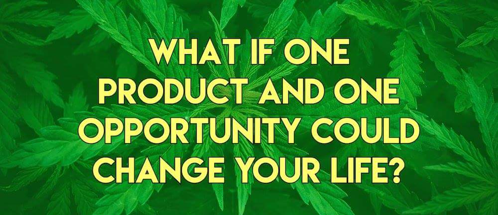 Rdoank's tweet photo. Looking to make some extra #money? The #hemp and #CBD industry is just exploding right now. Join my #winningteam of distributors. Ask me how or click the link below for more info.
https://t.co/cXjqIuwjuo https://t.co/a74D8F4IgV