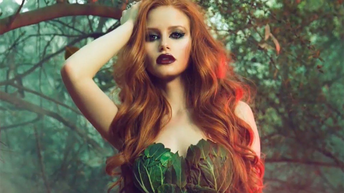 Lily Luna (@luvelylily) on Twitter photo 