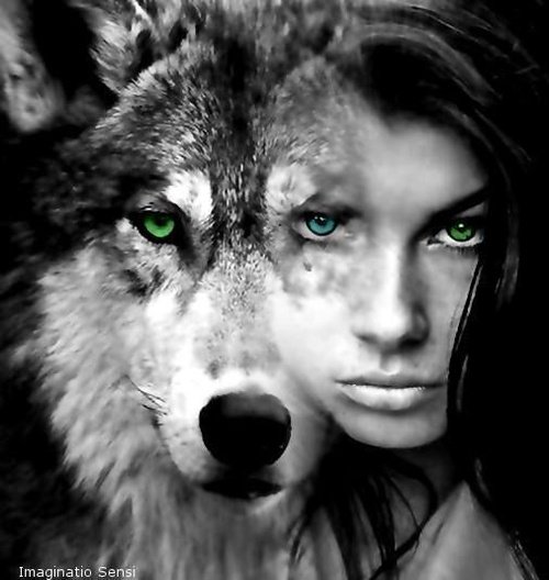 nayasofai's tweet photo. غفوت بأمان وحولي رفاقي .....😴
واستيقظت ولم أجد حولي سوى الذئاب 🐺🐺
ولا أعلم هل اكل الذئاب رفاقي ❣️
ام رفاقي تحولوا الى ذئاب 💔
**NAYA SOFAI** https://t.co/HAj0xK6NZp