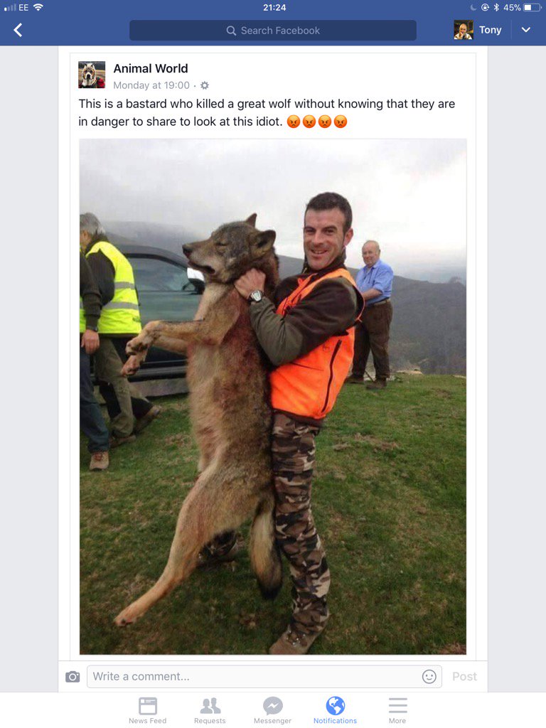 Please retweet expose him