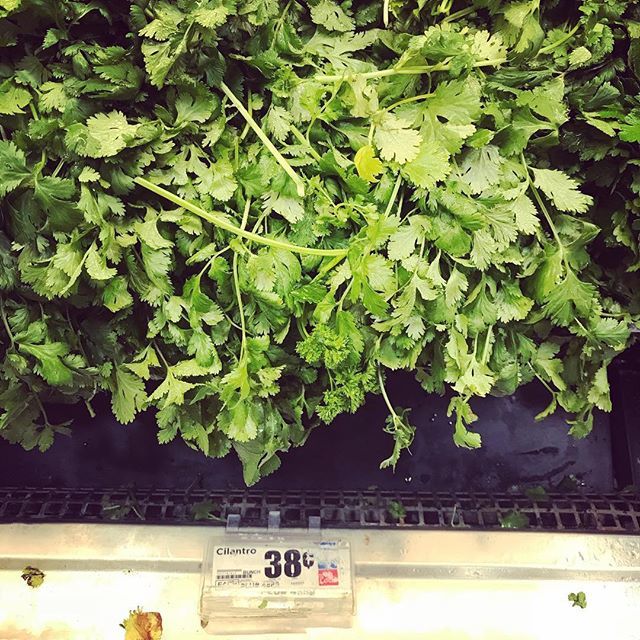 lgomez123's tweet photo. Well hello my old friend.......#cilantrodiaries #heb8 https://t.co/p4nCiTCLF3 https://t.co/kwBYlBqJUk