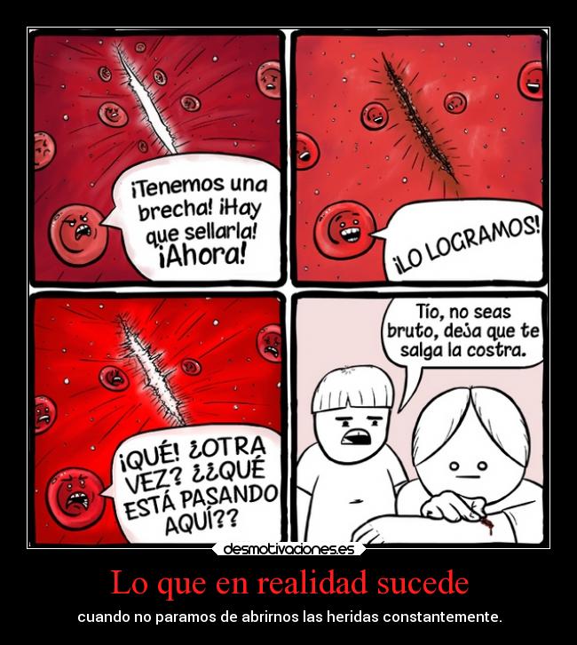 ElBichologo's tweet photo. La coagulación es vital para la supervivencia. ¡AH! Y no te quites la “costra”, aunque de gustito #circulaMOOC https://t.co/4Vsw9D1pHf