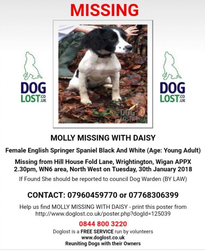 rosieDoc2's tweet photo. #findDaisyandMolly £££££ #LARGE #reward for the safe return of these two girls 🤔

‼️DO U KNOW WHERE THEY ARE‼️ Just bring them back NO QUESTIONS ASKED &amp; TAKE LARGE REWARD #Wrightington #Wigan #STOLEN 🆘 
https://t.co/sgtOh2mKyG https://t.co/tA7oDOYRwb