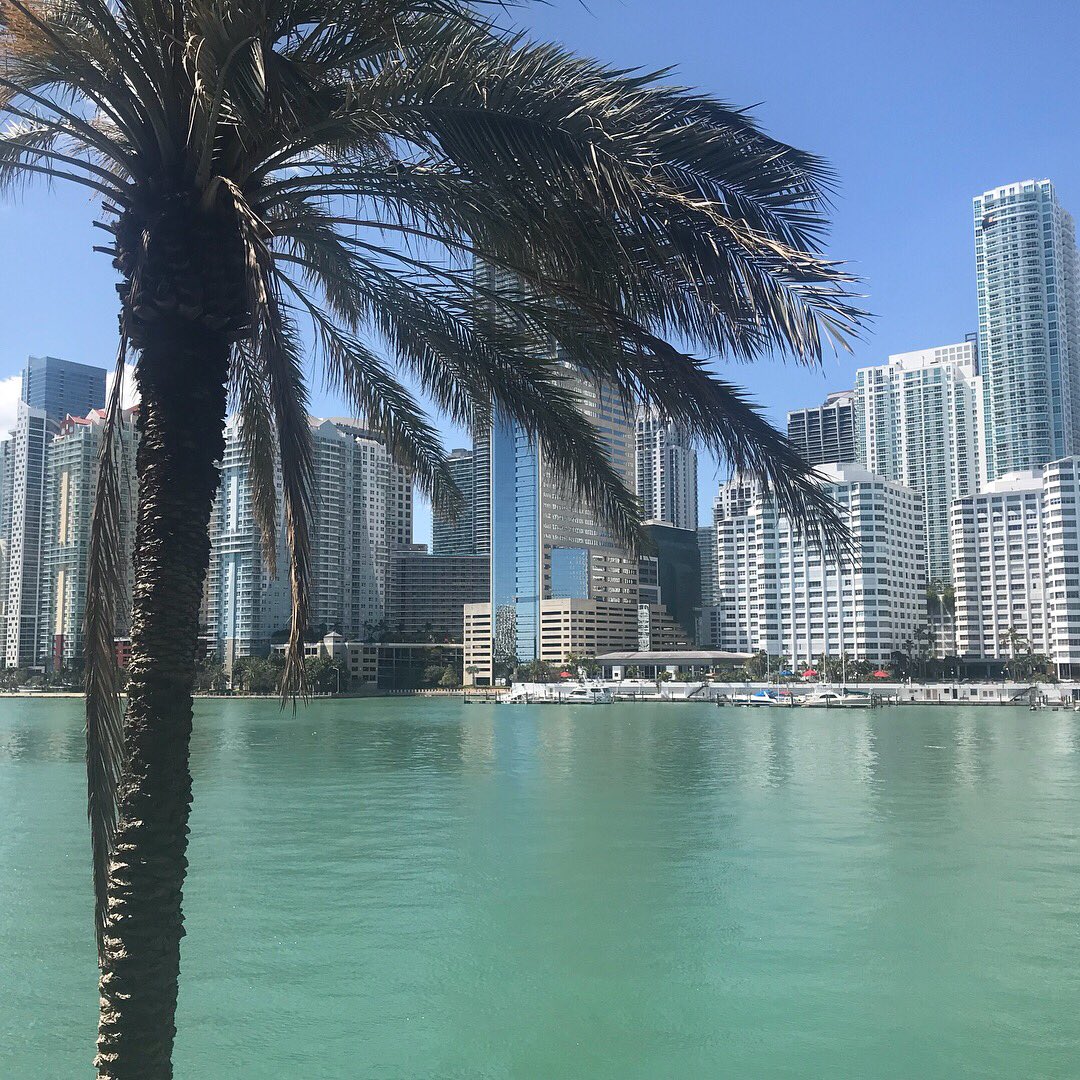 txfaces's tweet photo. Thanks again to @SkinCeuticals for a great weekend in Miami! Back to work tomorrow, using what we’ve learned to help you look your best!
#skinceuticals #skincare #preventprotectcorrect #lookgoodfeelgood #experts #txfaces #friscotx #dfw https://t.co/wDdw9Bo7Es
