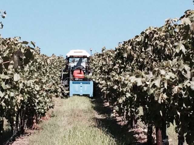 zerellawines's tweet photo. How's your Monday morning commute? #zerella #zerellawines #lagita #wine #winery #vineyard #winerylife #mclarenvale #italianheartofmclarenvale #cellardoor #summer #australianwine #harvest #vintage https://t.co/0vifuMbDQj