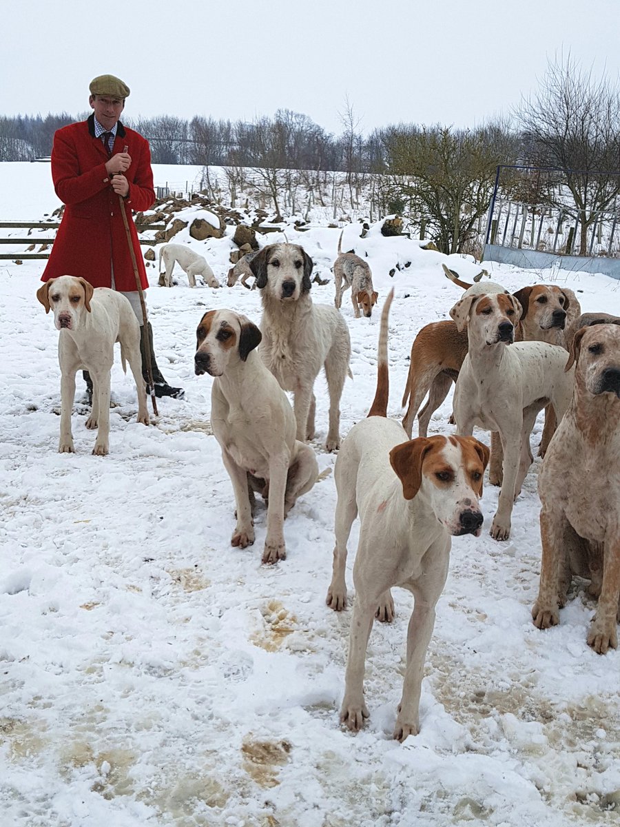 Huntsman David Jukes last day hunting the #zetlandhunt hounds yesterday, on foot, before retirement @CAupdates