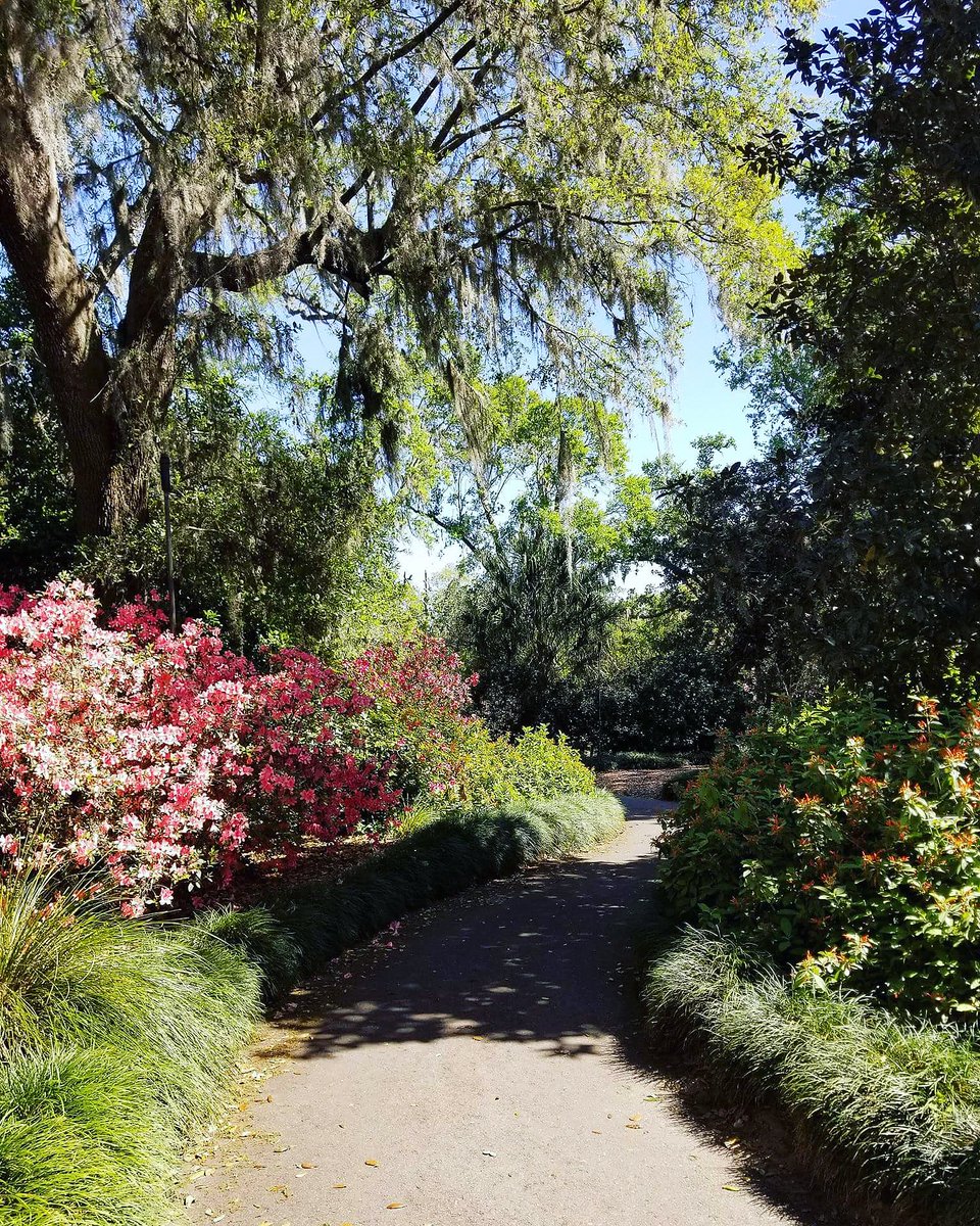 Took a Twitter break today to stroll through this...feeling very Zen right now
#ecotherapy
#boktowergardens